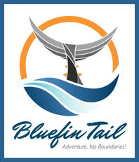 Bluefin Tail